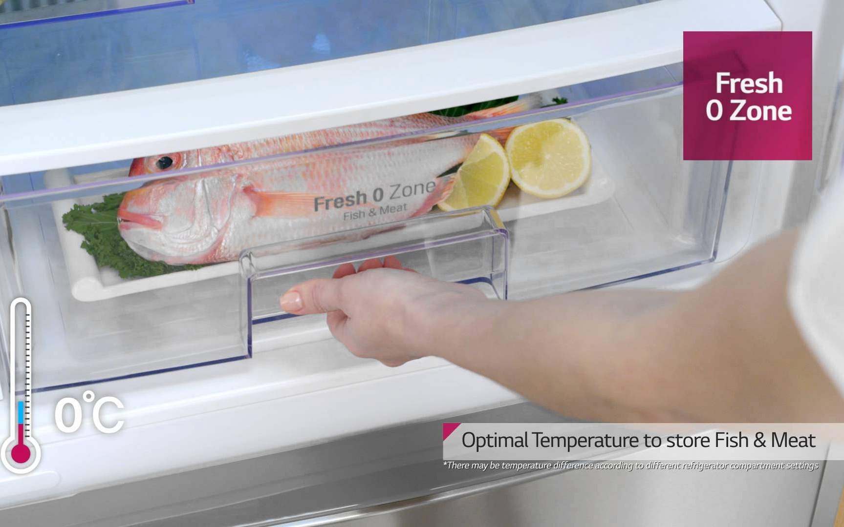 Зона свежести влажная. Холодильник LG Opti Fresh Zone. Зона свежести. Fresh Zone в холодильнике что это. Холодильник LG С Фреш зоной.